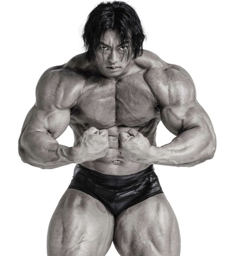 Fied men classic - men's, physique
